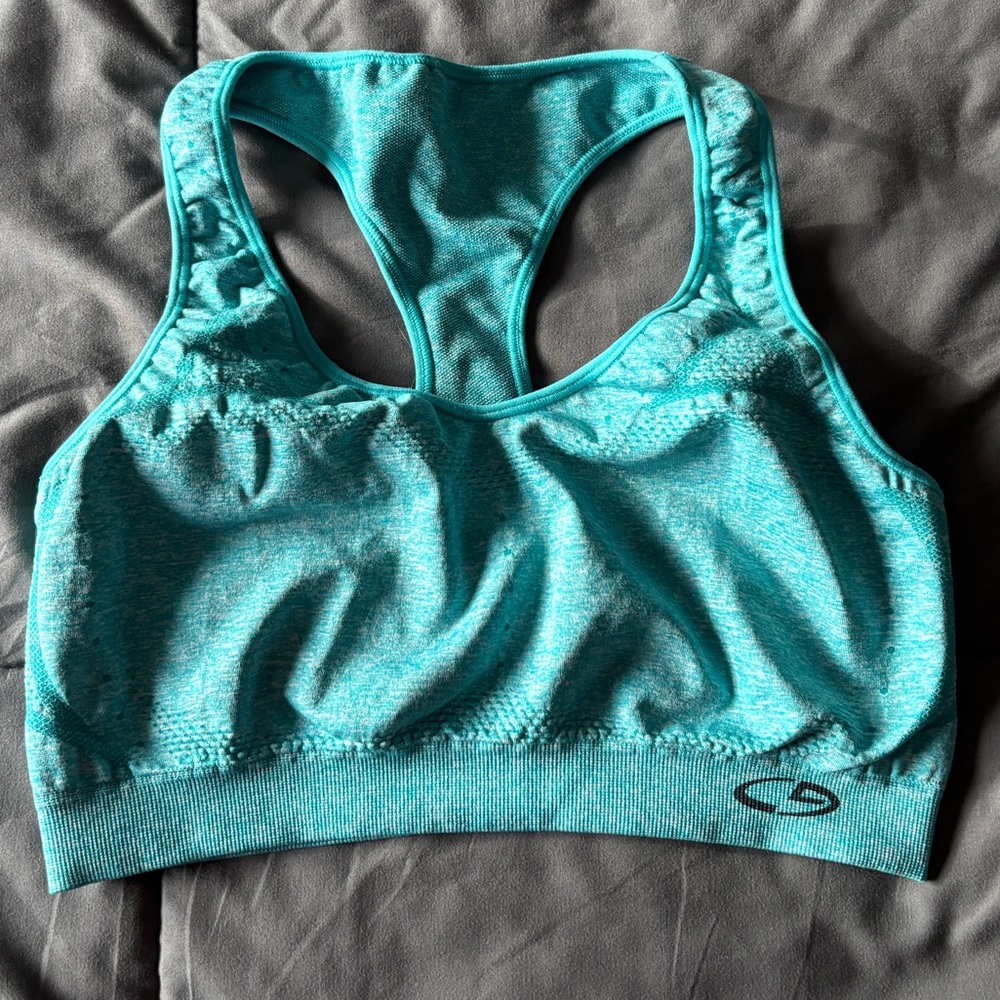 Distressed turquoise Champion sports bra